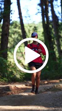 BIB:  <button type="button" onclick="openModal(26787963)" class="btn btn-primary btn-sm float-right" data-toggle="modal" data-target=".modal-high-quality">
                <i class="fa fa-download"></i> Download
                </button>